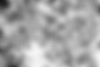 wall.png
