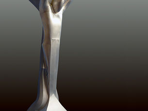 Russian International Architectural Award 2007