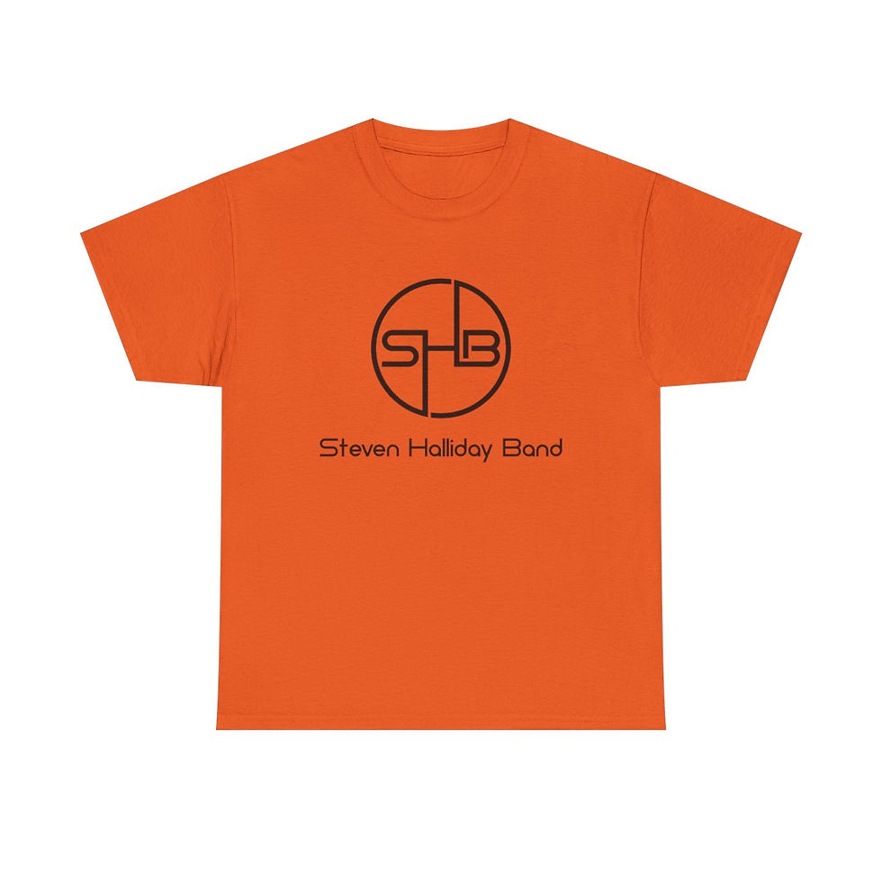Thumbnail: SHB Plain - Unisex Heavy Cotton Tee