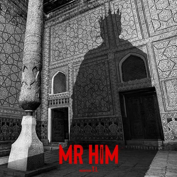 MRHIM-TI.png