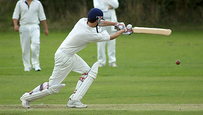 Cricket Game