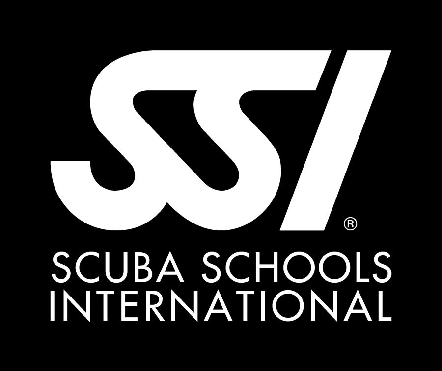 ssi_logo_bw.gif