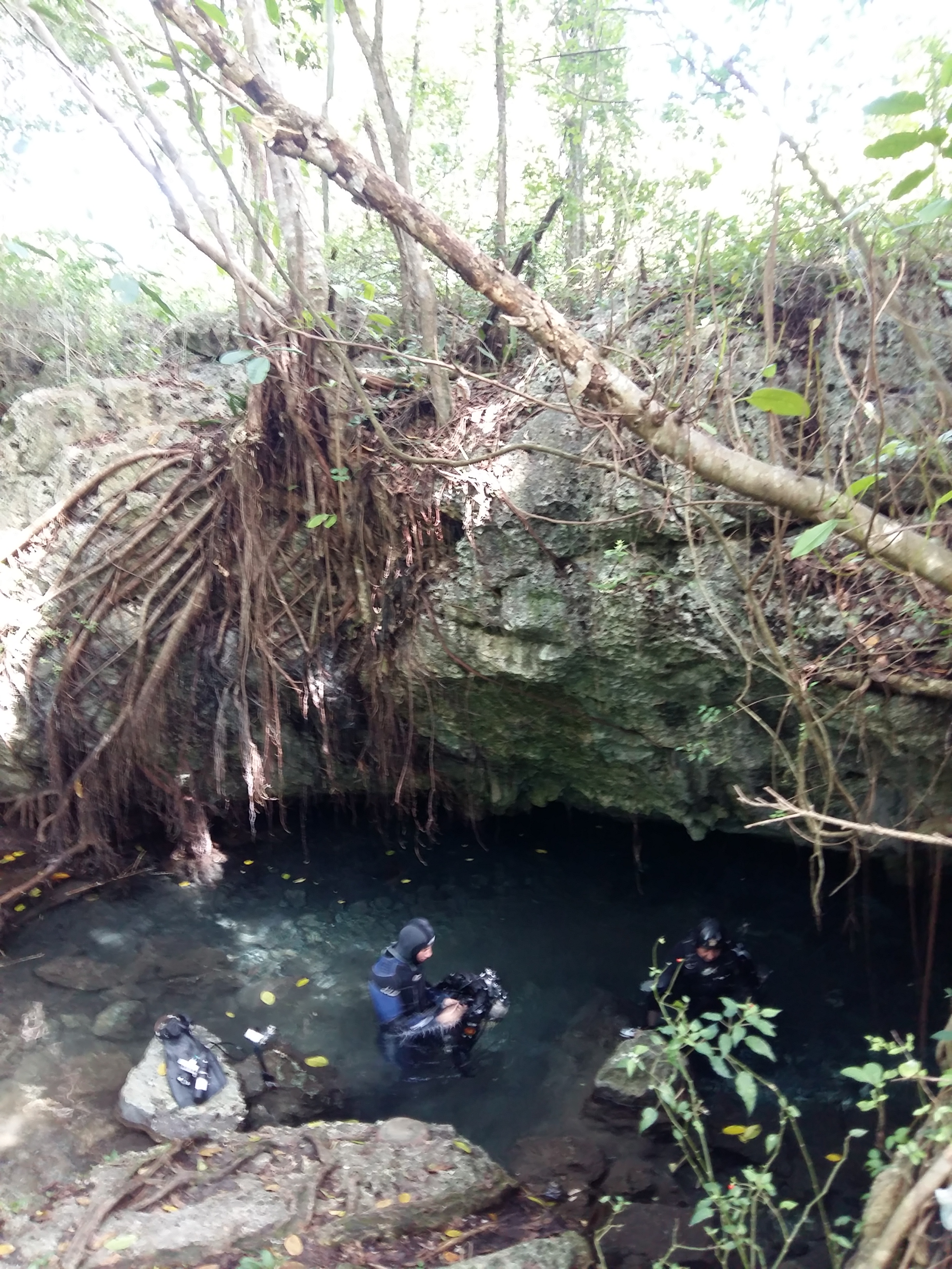 Cave Diving