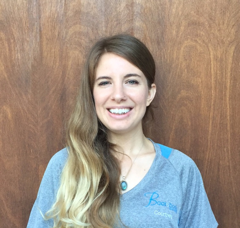 Cupertino Massage & Chiropractor Back & Body Wellness