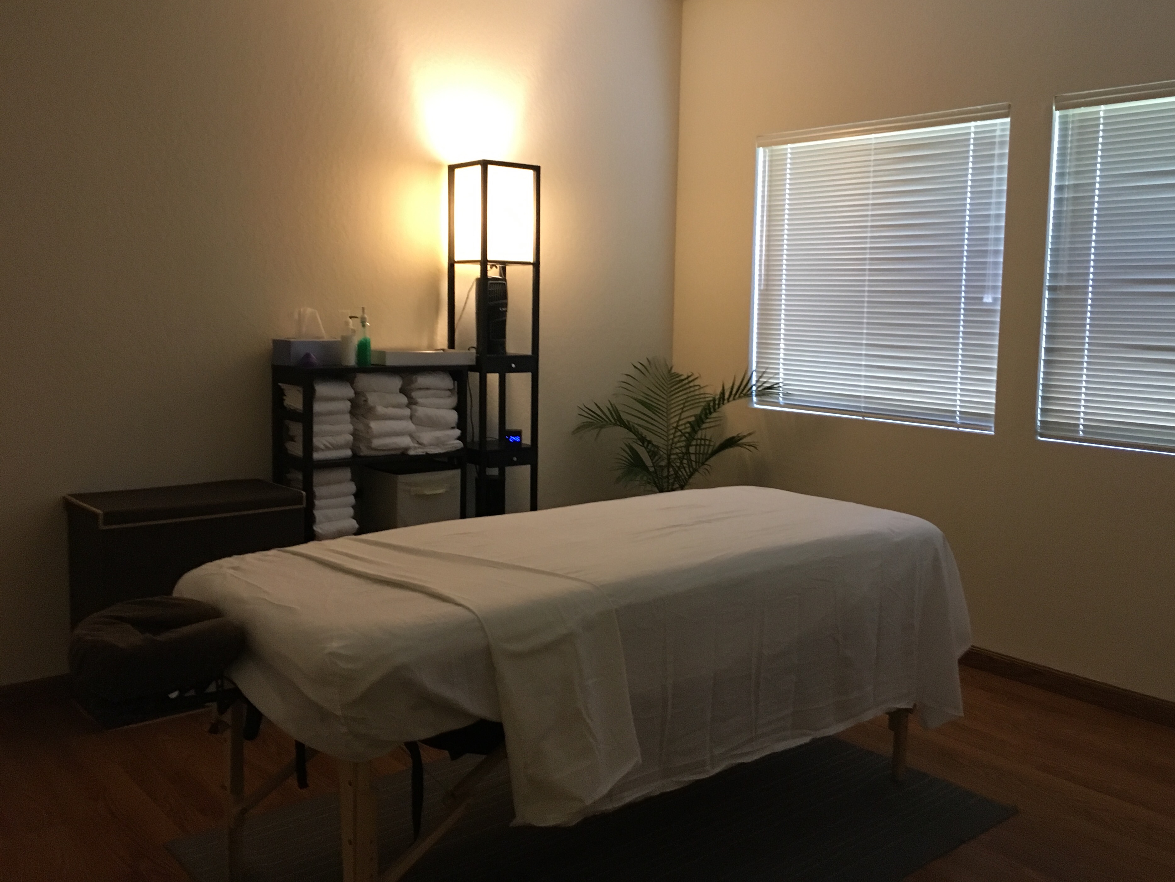 Cupertino Massage & Chiropractor Back & Body Wellness