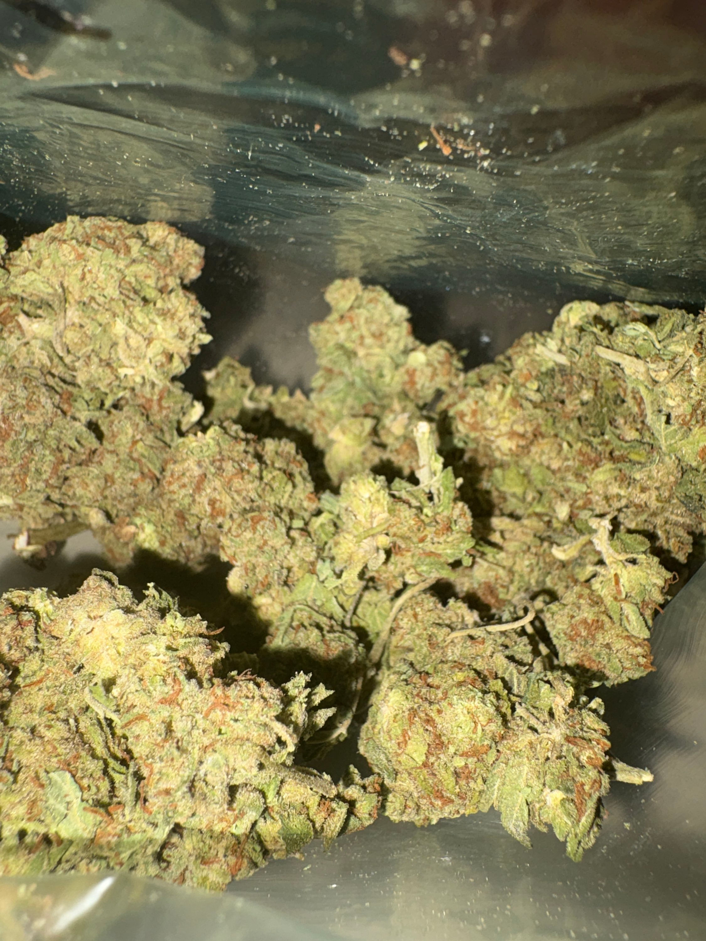 LA Coma 