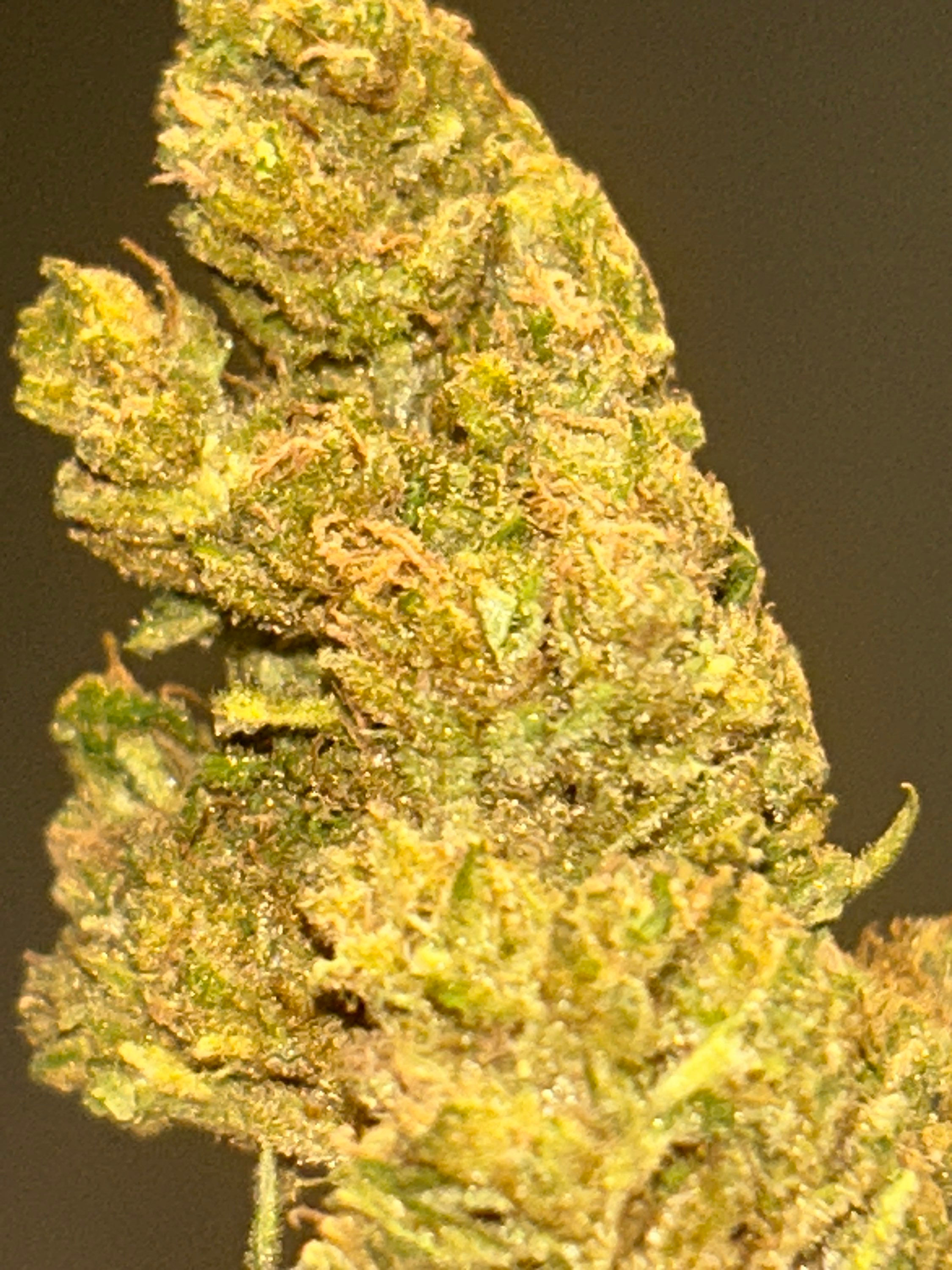 New York City diesel
