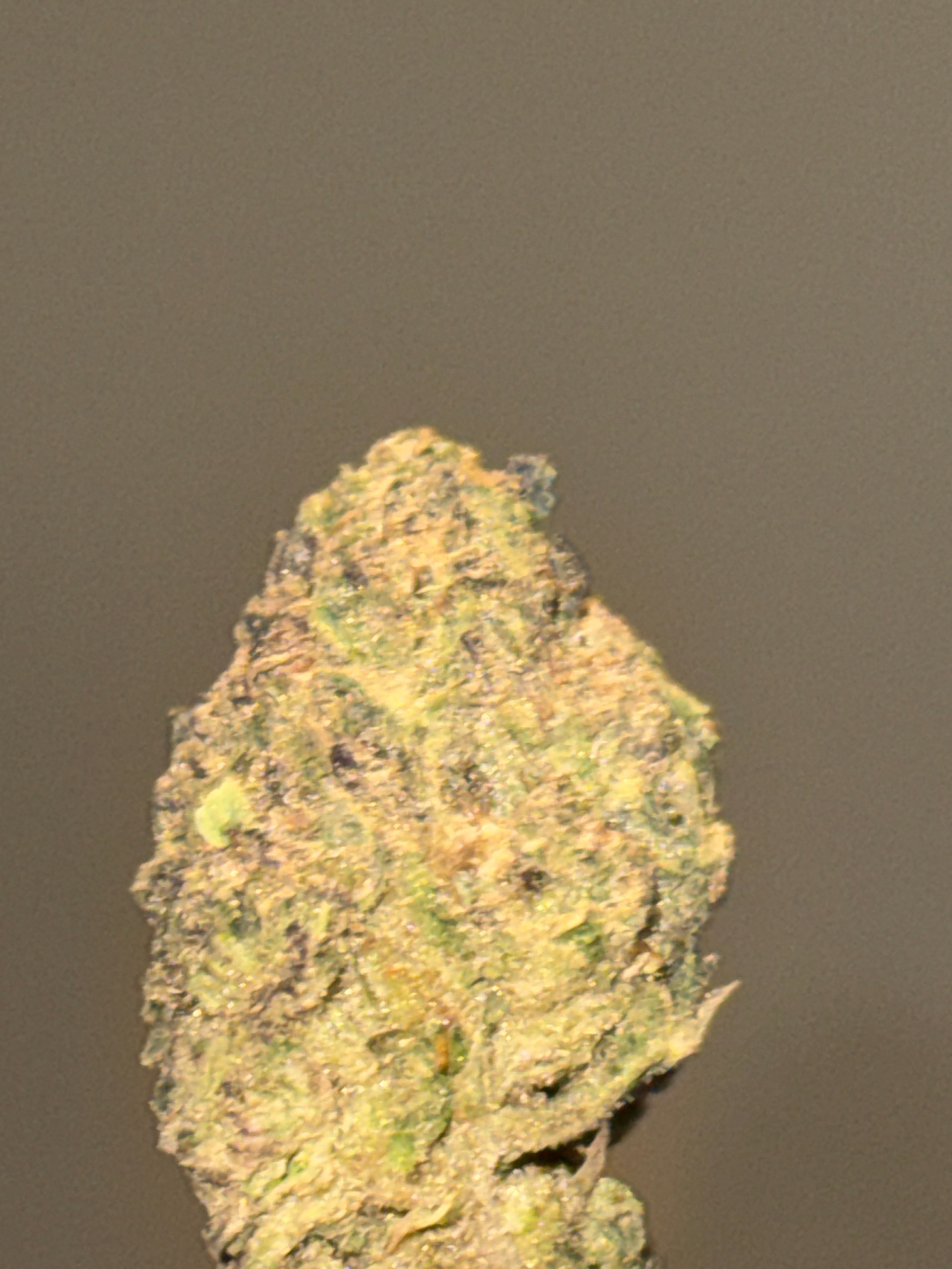 Mint chocolate chip