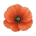 Ian C. Smith Celebrant Poppy East Yorkshire