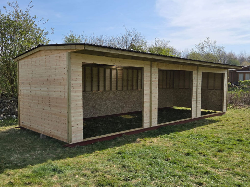 Wide view of open-front wooden farm shelter in Cumbria with durable timber framing and corrugated roof.