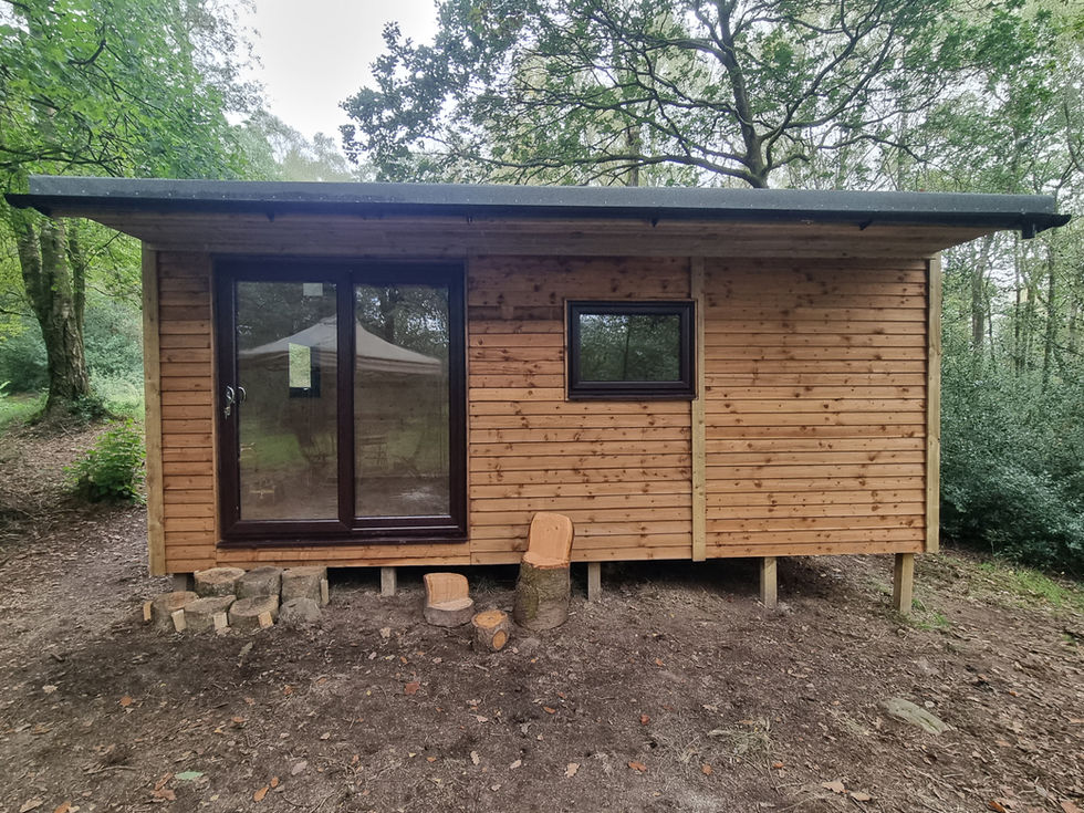 Small timber cabin with glass double doors and window, nestled in a peaceful woodland setting with natural log steps.