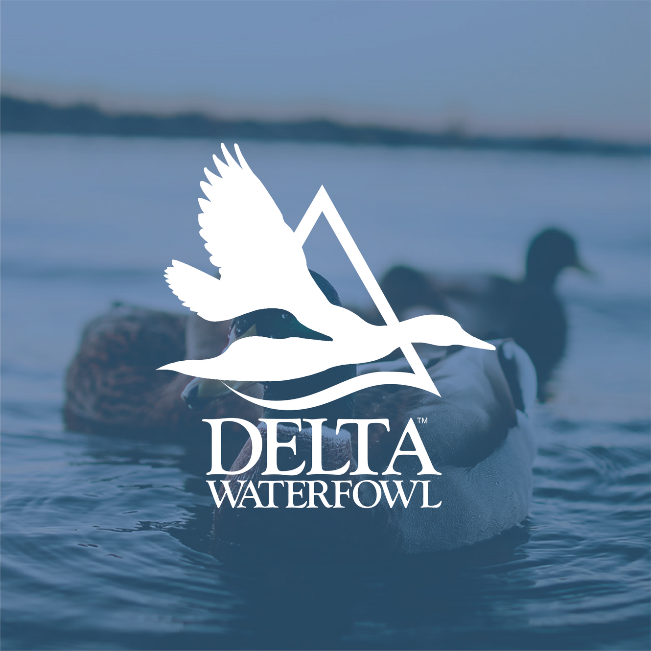 2025 Fall Banquet 2 Delta Waterfowl