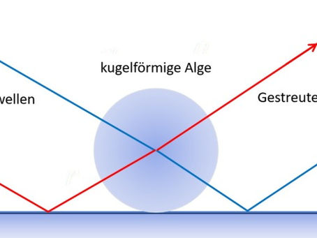Glorie und quételetsche Ringe auf dem Wasser