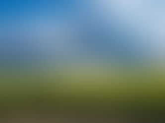 Zunehmende Wetterrisiken im europäischen Pflanzenbau: Welche Versicherungen stehen landwirtschaftlic