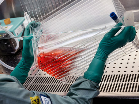 Universelles Neugeborenen-Screening auf kongenitale CMV gefordert