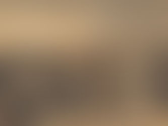 Alternative Staatsform: Wahlen ohne Demokratie im germanischen Reich