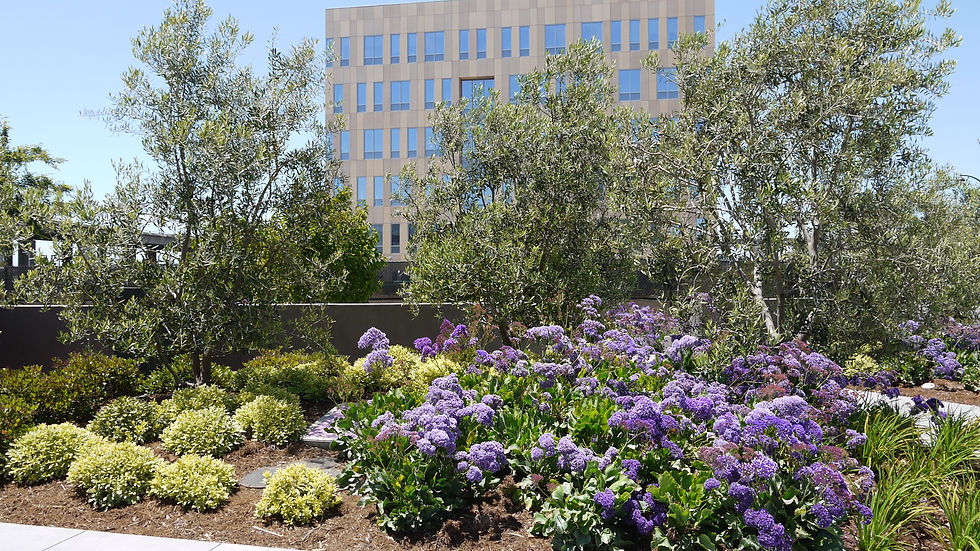Small Park 013