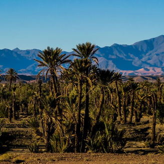 Paysage Marocain