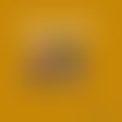 💥Wild faith💥 “Satan, what will you do when I can!” Blog 11