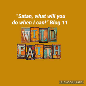 💥Wild faith💥 “Satan, what will you do when I can!” Blog 11