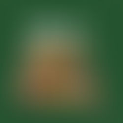 💥Wild Faith💥Blog 6