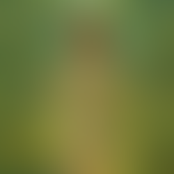 When Man Thinks He Is Bigger Than God