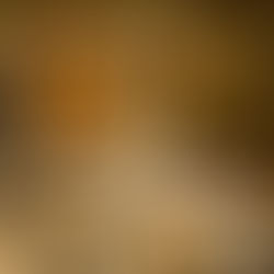 🐅 “Wild Side”🐅