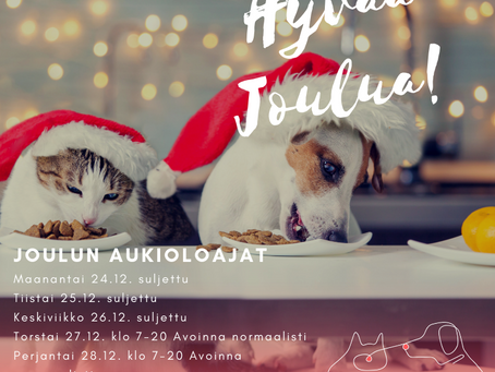Joulun aukiolot Kamussa