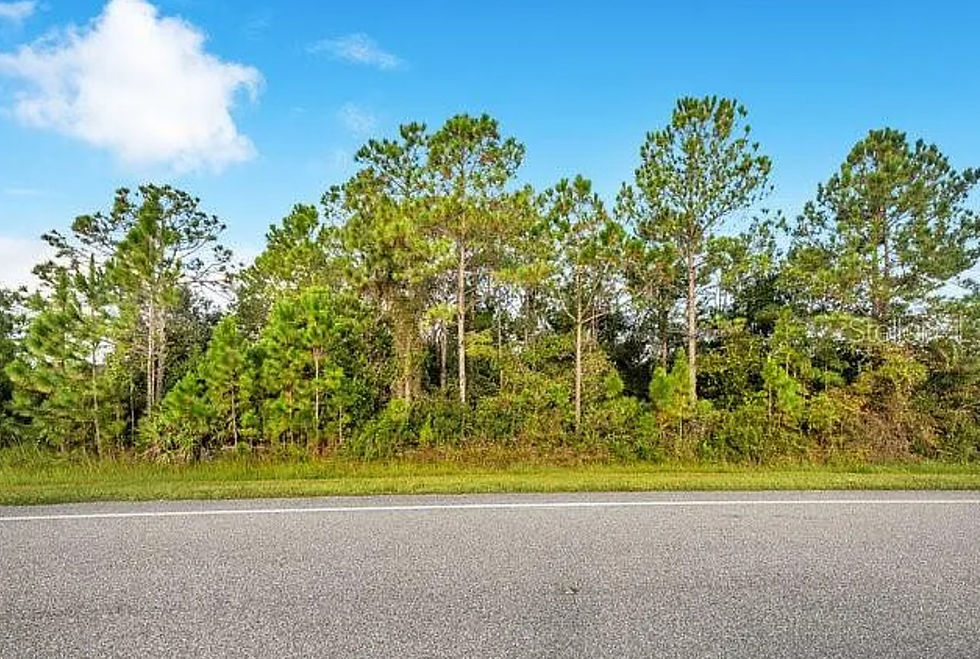 Screenshot 2025-11-27 074836.jpg