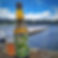 IMG_20210623_130953-01 (Copier).jpeg
