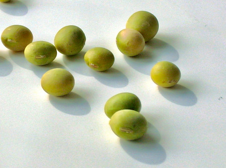 miyadaizu_5b.jpg