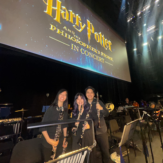 Harry Potter and the Philosopher's Stone in Concert
