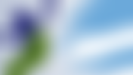 El Consejo COLEF se reúne con el COPEFIM de Argentina