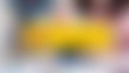 Se publican las competencias del Grado en CCAFYDE en el BOE. La Resolución impide su enseñanza a dis