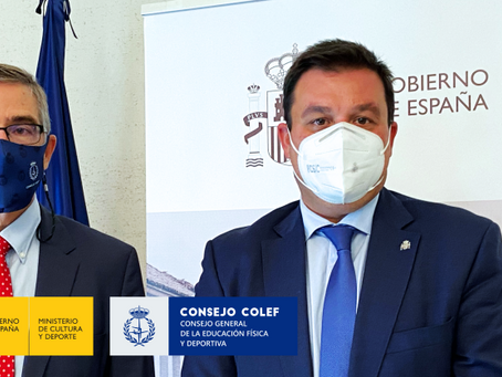 El Secretario General de Cultura y Deporte trata con el Consejo COLEF el RD de la Org. Colegial