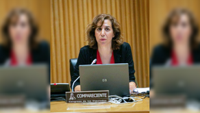 Irene Lozano señala como una prioridad la ley de profesiones del deporte