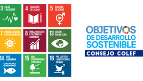 Objetivos de Desarrollo Sostenible en la organización colegial de la Educación FÃsica y Deportiva