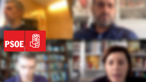El Consejo COLEF se reúne con el Grupo Parlamentario Socialista