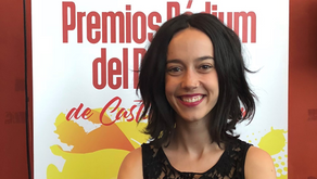 "Con ocho leyes autonómicas aprobadas y con cuatro en trámite, la presión legislativa territori