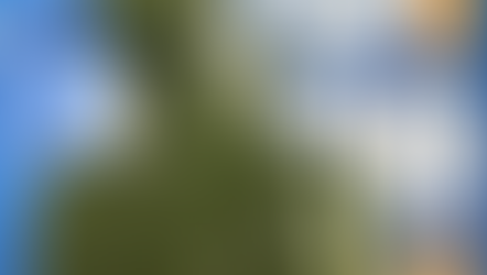 Candidaturas al Premio del Consejo COLEF 2022. Conoce quiénes son