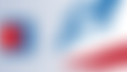 El Consejo COLEF y el CANEF de Chile se reúnen para hablar de intrusismo