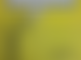 What's all the fuss about