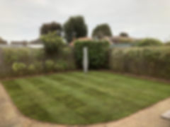 image1 (1).jpeg