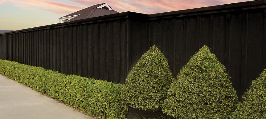Aquamax Fence2 (1).jpg