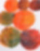 Paint the Planets