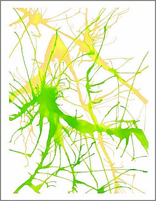 Blown Dye Painting with a straw
