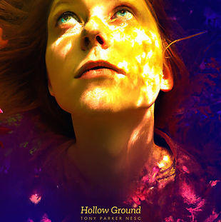 Album cover for Hollow Ground by Tony Parker NESC
