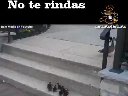 PROPÓSITO DE LA SEMANA