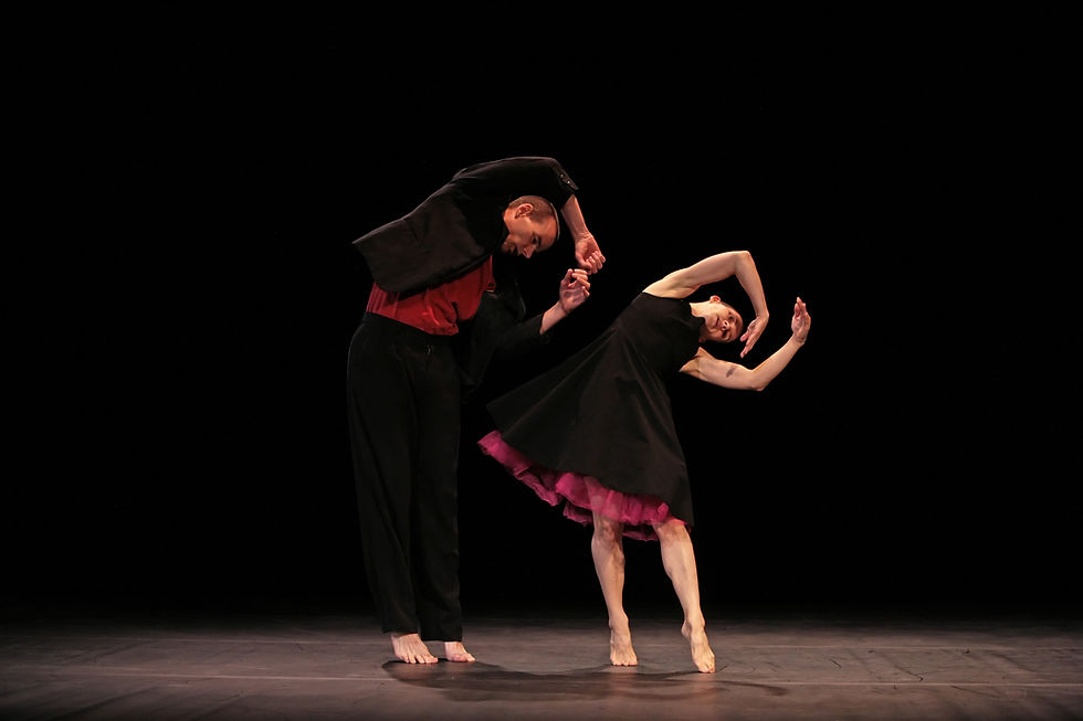 Dancing in Summer: Saturday Professional Showcase