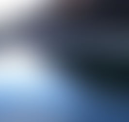 Fishing Field 中津川